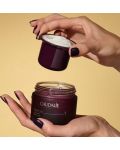 Caudalie Premier Cru Ενυδατική αντιγηραντική κρέμα, filler, 50 ml - 3t