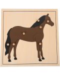 Ξύλινο παζλ με ζώα Smart Baby - Άλογο, 7 μέρη - 2t