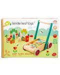 Παιδική  ξύλινη περπατούρα  Tender Leaf Toys - Με χρωματιστά μπλοκάκια  - 7t