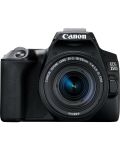 Φωτογραφική μηχανή  DSLR  Canon - EOS 250D, EF-S 18-55mm ST, μαύρο   - 1t