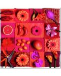 Παζλ Educa 3 x 500 κομμάτια - Εξωτικά λουλούδια και φρούτα - 4t