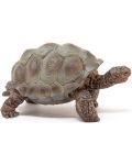 Φιγούρα Schleich Wild Life - Γιγαντιαία χελώνα - 4t