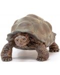 Φιγούρα Schleich Wild Life - Γιγαντιαία χελώνα - 2t
