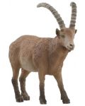 Φιγούρα Schleich Wild Life - Αλπικός αίγαγρος - 1t