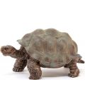 Φιγούρα Schleich Wild Life - Γιγαντιαία χελώνα - 3t