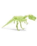 Φωσφορίζοντα αυτοκόλλητα Brainstorm Glow Dinos - Τυραννόσαυρος Ρεξ, σκελετός - 2t