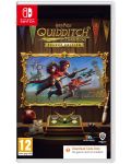 Harry Potter: Quidditch Champions - Deluxe Edition - Κωδικός σε κουτί (Nintendo Switch) - 1t