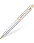 Στυλό  Sheaffer - 100,ασημί - 2t