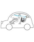 Παιχνίδι για αυτοκίνητο Taf Toys - Κοάλα, με καθρέφτη - 4t