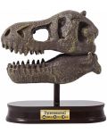 Ερευνητικό σετ Buki Museum - Skull, T-Rex - 4t