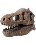 Ερευνητικό σετ Buki Museum - Skull, T-Rex - 3t