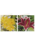 Κάρτες σχεδίασης με χάντρες Grafix -Λουλούδια, 2 τεμάχια, 13 x 13 cm - 3t