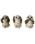 Σετ αγαλματίδια Nemesis Now Adult: Gothic - Three Wise Brown Owls, 7 cm - 1t