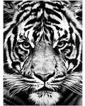 Σετ ζωγραφικής με αριθμούς  Foska - λευκή τίγρης - 1t
