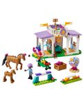 Κατασκευαστής LEGO Friends - Προπόνηση με άλογο (41746) - 2t
