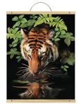 Σετ ζωγραφικής με ακρυλικά χρώματα  Royal - Τίγρης, 31 х 41 cm - 1t
