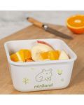 Δοχεία τροφίμων  Miniland - Eco Friendly, 2 х 400 ml, Βάτραχος - 3t
