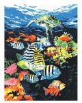Σετ ζωγραφικής με ακρυλικά χρώματα  Royal - Βάθη ωκεανών, 23 х 30 cm - 1t