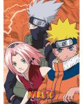 Σετ μίνι αφίσες  GB eye Animation: Naruto - Konoha Ninjas & Deserters - 3t