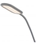 LED Φωτιστικό Rabalux - Adelmo 74009, IP 20, 10 W, γκρι - 5t
