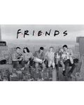 Μεγάλη αφίσα ABYstyle Television: Friends - Friends - 1t