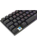 Μηχανικό πληκτρολόγιο White Shark - SHINOBI, Blue Switches, LED, μαύρο - 6t