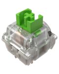 Μηχανικοί διακόπτες Razer - Green Clicky Switch - 1t