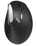 Ποντίκι Rapoo - EV250, οπτικό, ασύρματο, μαύρο/ασημί - 1t