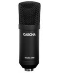 Μικρόφωνο Cascha - HH 5050U Studio USB, μαύρο - 2t