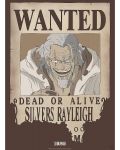 Μίνι αφίσα GB eye Animation: One Piece - Rayleigh Wanted Poster - 1t