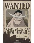 Μίνι αφίσα  GB eye Animation: One Piece - Wanted Whitebeard - 1t