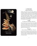 Midnight Magic A Tarot Deck of Mushrooms - 3t