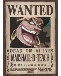 Μίνι αφίσα  GB eye Animation: One Piece - Blackbeard Wanted Poster - 1t