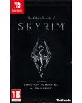 Elder Scrolls V: Skyrim (Nintendo Switch) - 1t