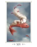 Nicoletta Ceccoli Tarot: Mini Tarot (78-Card Deck and Guidebook) - 2t