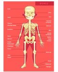 Εκπαιδευτικό παζλ Eurekakids - Το ανθρώπινο σώμα, 100 μέρη - 3t