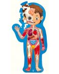 Εκπαιδευτικό παζλ Hape -Το ανθρώπινο σώμα, 60 μέρη - 2t