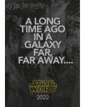 Οργανωτής Danilo Movies: Star Wars - Galaxy Far Far Away, А5 - 2t