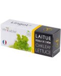 Σπόρια   Veritable - Lingot,Σαλάτα φύλλα βελανιδιάς, μη ΓΤΟ - 1t