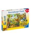 Παζλ Ravensburger 3 x 49 κομμάτια - Ο κόσμος των ζώων - 1t