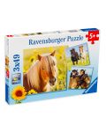 Παζλ  Ravensburger 3 x 49 κομμάτια -Όμορφα άλογα - 1t