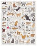 Παζλ Galison από 1000 κομμάτια - Γλυκές γάτες - 2t