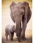 Παζλ Eurographics 1000 κομμάτια - Ελέφαντας με το μικρό του  - 2t