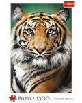 Παζλ Trefl 1500 κομμάτια -Πορτρέτο τίγρης - 1t