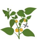 Σπόρια Veritable - Lingot, Κίτρινοι μίνι πιπεριές , χωρίς ΓΤΟ - 4t