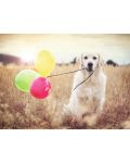 Παζλ Ravensburger από 500 κομμάτια - Σκυλί με μπαλόνια - 2t