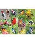Παζλ Springbok 500 κομμάτια - Πουλιά στο δάσος - 2t