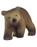 Φιγούρα Papo Wild Animal Kingdom – Καφέ αρκουδάκι - 1t
