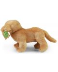 Λούτρινο παιχνίδι Rappa Eco Friends - Σκύλος Λαμπραντόρ, 20 cm - 4t