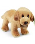 Λούτρινο παιχνίδι Rappa Eco Friends - Σκύλος Λαμπραντόρ, 20 cm - 3t
